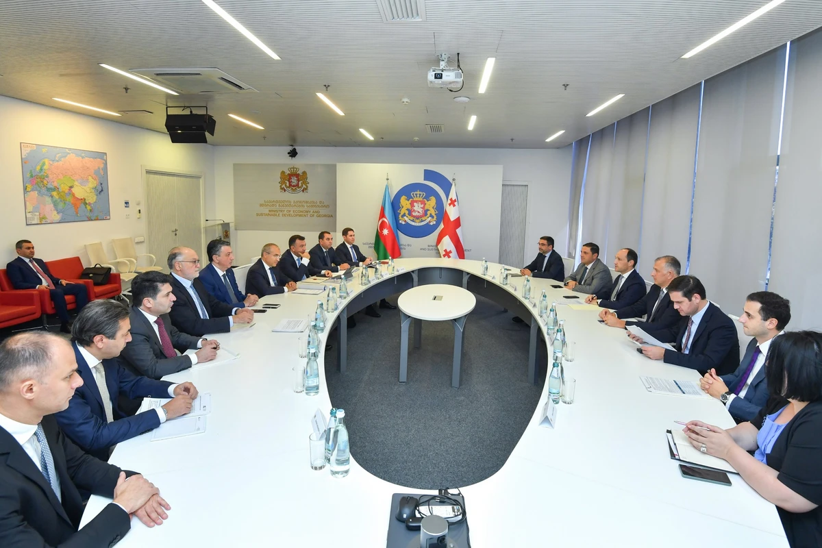 İqtisadiyyat naziri Mikayıl Cabbarov Gürcüstana səfər edib - FOTO