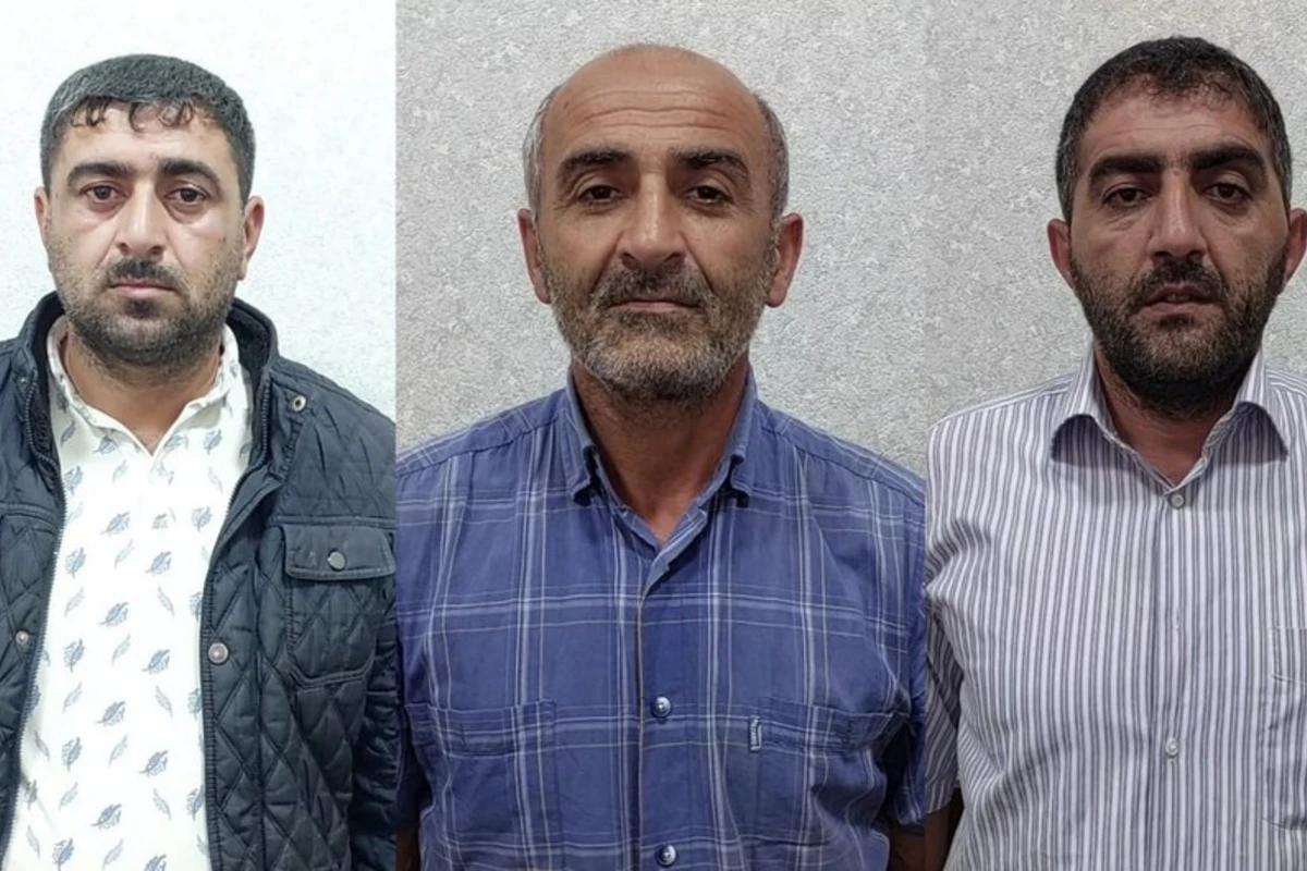 Meşədən mal-qara oğurlayanlar həbs edilib