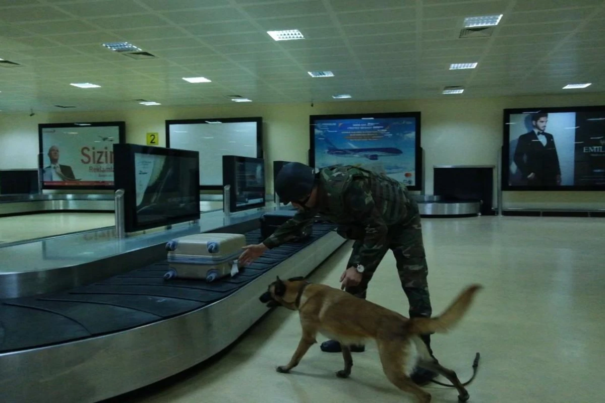 Heydər Əliyev Beynəlxalq Aeroportu və FHN birgə təlim keçirib - FOTO/VİDEO