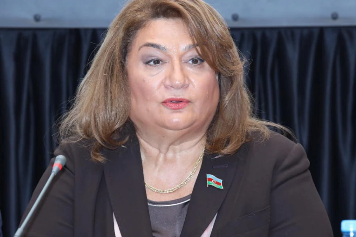 MM-in Komitə sədri: “Azərbaycanda narkomanların sayı hələ də çoxdur”