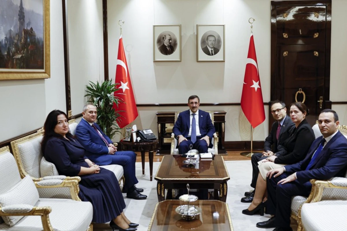 Ərdoğanın köməkçisi YAP nümayəndə heyətini qəbul edib