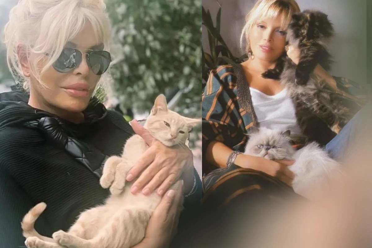 Ajda Pekkan pişiyi üçün 3 milyon xərclədi - FOTO