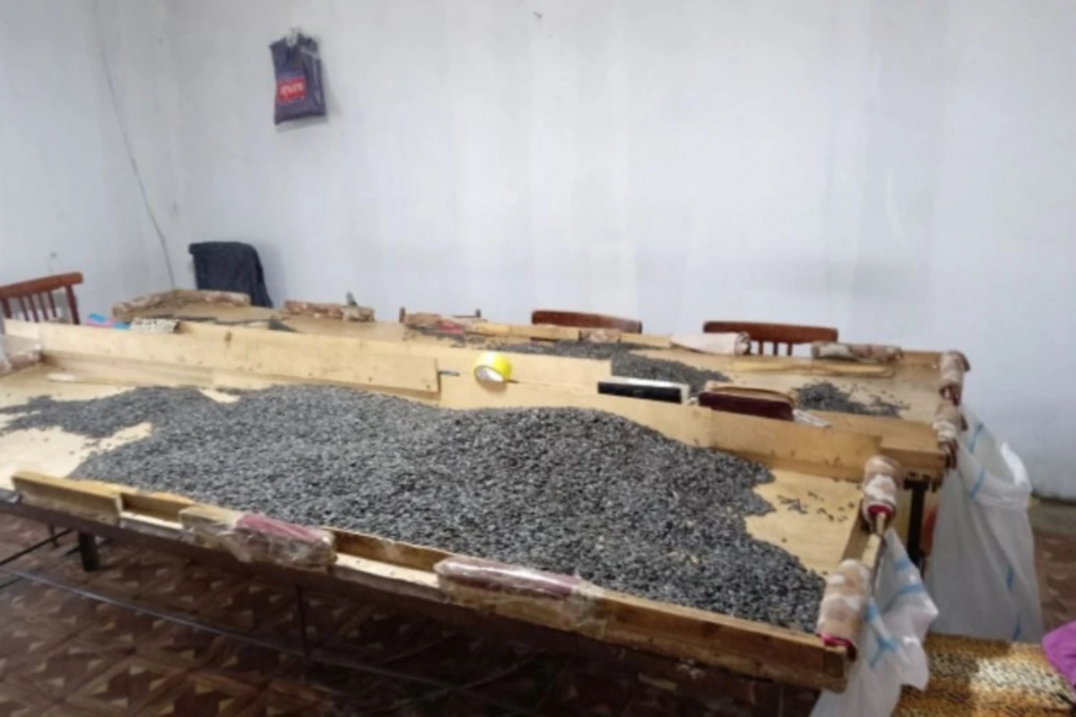 Bərdədə günəbaxan emalı müəssisəsinin fəaliyyəti məhdudlaşdırılıb - FOTO