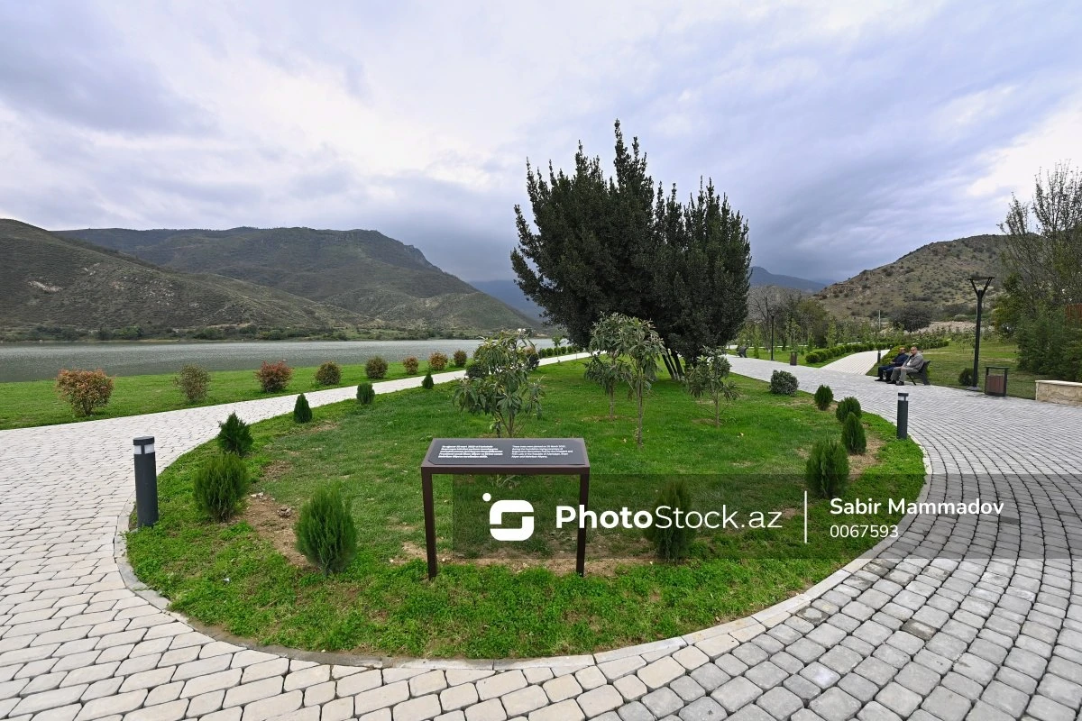 Suqovuşan qəsəbəsindəki istirahət parkında minlərlə ağac və kol əkilib
