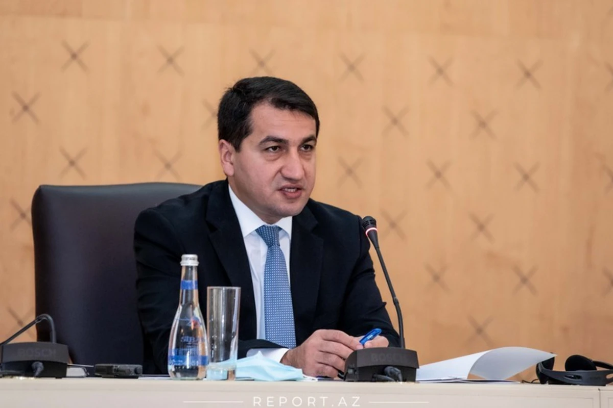 Hikmət Hacıyev mina partlayışı nəticəsində ölən ayı balasının görüntülərini paylaşıb