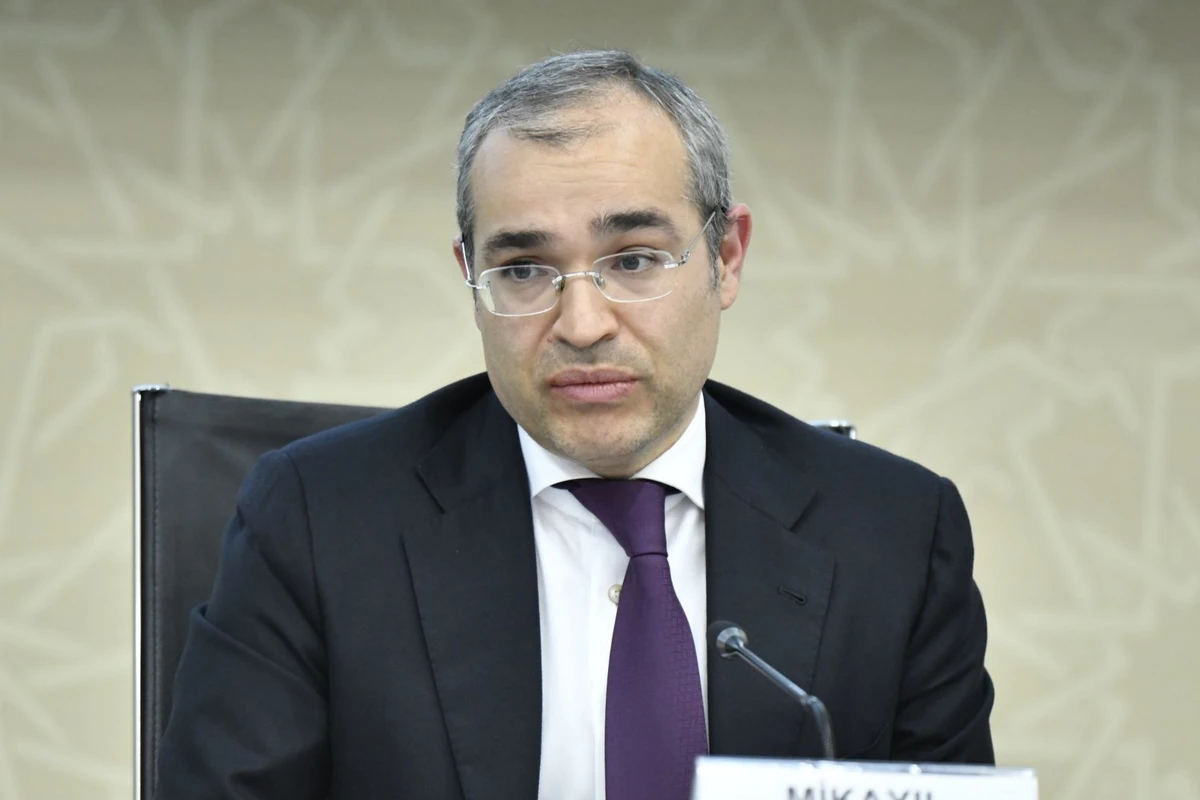 Микаил Джаббаров: С начала года увеличился реальный темп роста инвестиций - ФОТО