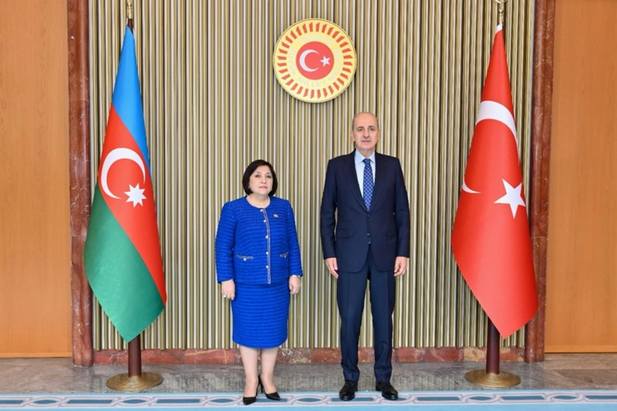 Sahibə Qafarova: “Azərbaycan və Türkiyə bütün məsələlərdə bir-birini dəstəkləyir” - FOTO