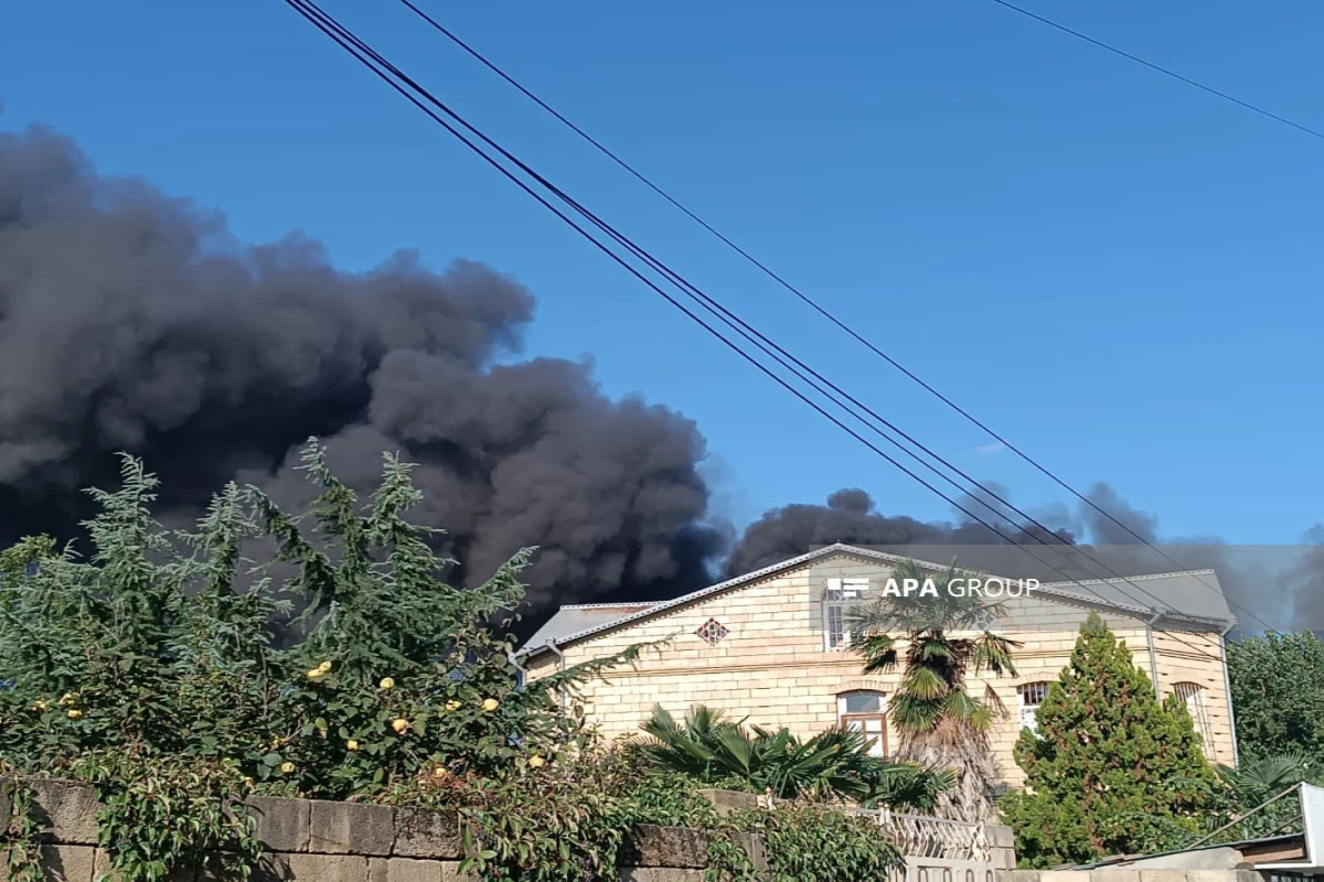 Şəkidə fərdi yaşayış evində ailə münaqişəsi, daha sonra yanğın olub