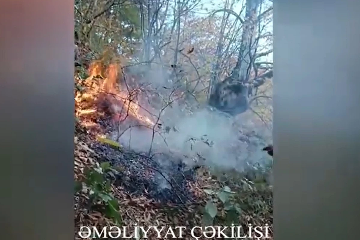 Şahdağ Milli Parkında yanğın olub - VİDEO Şahdağ Milli Parkında yanğın olub - VİDEO