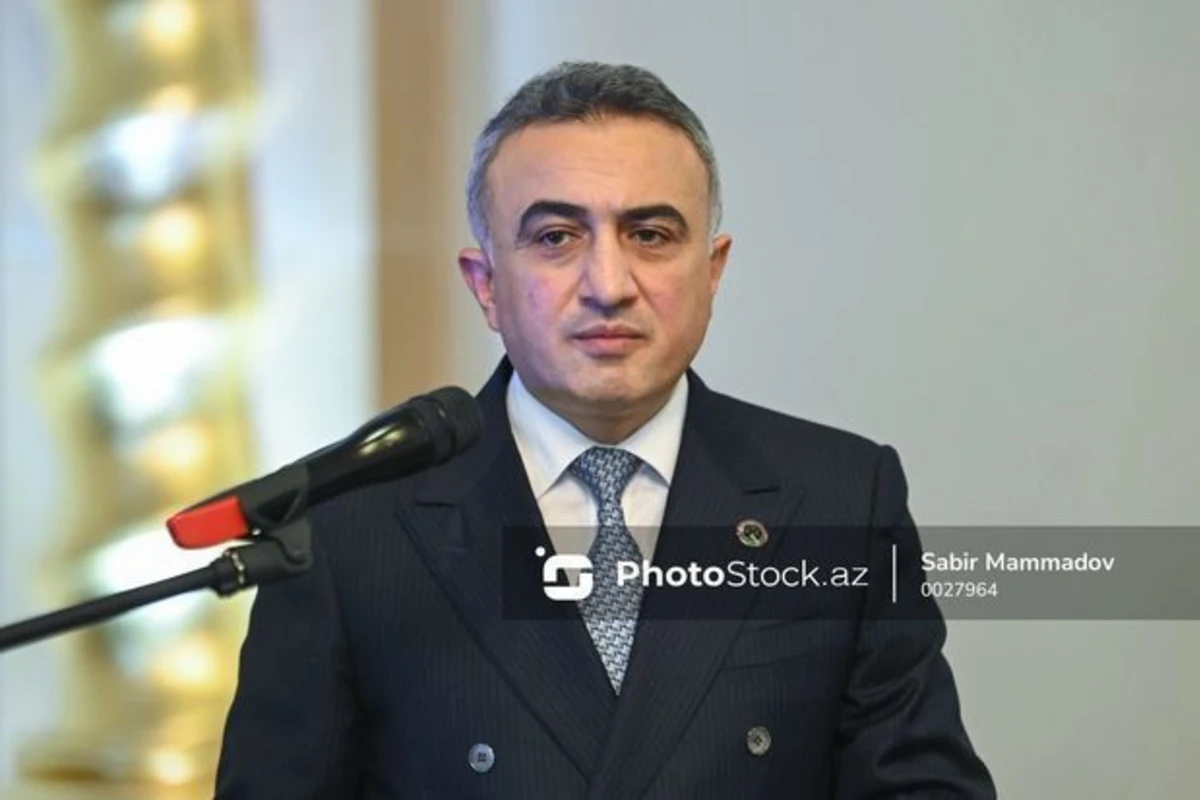 Sədr: “Dövlət hesabına göstərilən hüquqi yardıma görə ödənilən məbləğ vəkilləri qane etmir”