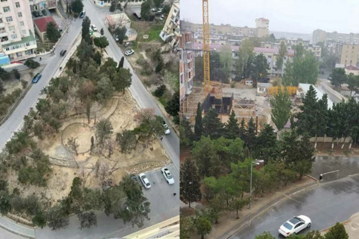 Bakıda parkda yaşıllıqları qurudub restoran tikmək istədilər - FOTO/VİDEO