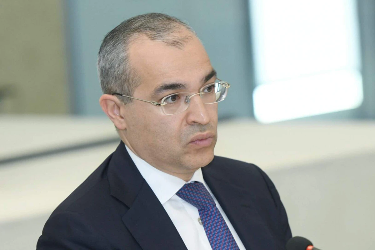 İqtisadiyyat naziri: DİM üzrə işlərin icrasına özəl sektorun cəlb edilməsi vacibdir