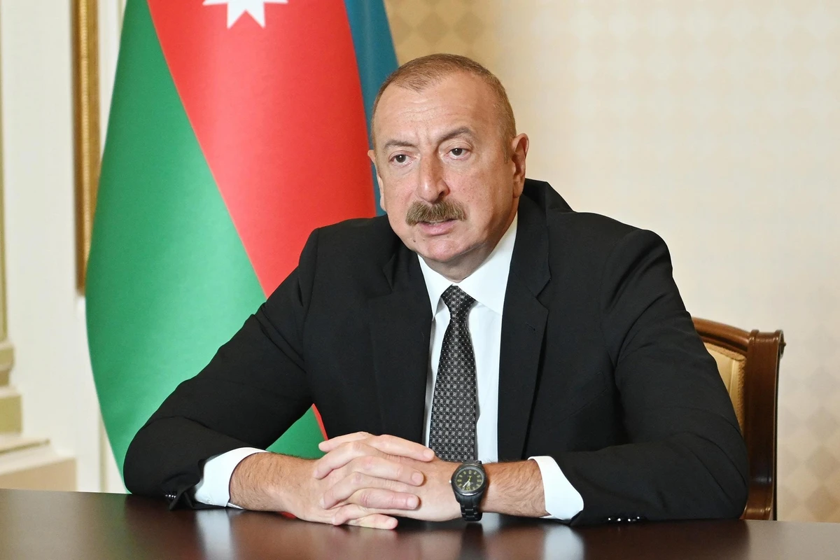 Президент освободил от должности главу Исполнительной власти Нахчывана - ФОТО