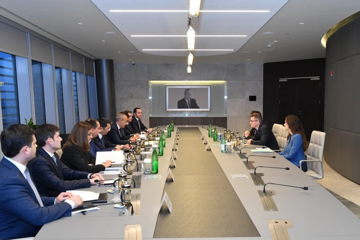 Azərbaycan OECD ilə vergitutma sahəsində Konvensiya imzalayıb - FOTO