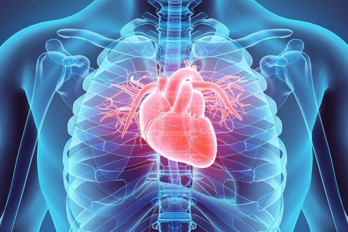 40 yaşdan yuxarı kişilərin NƏZƏRİNƏ - Bu əlamətlər varsa infarkt olacaqsınız