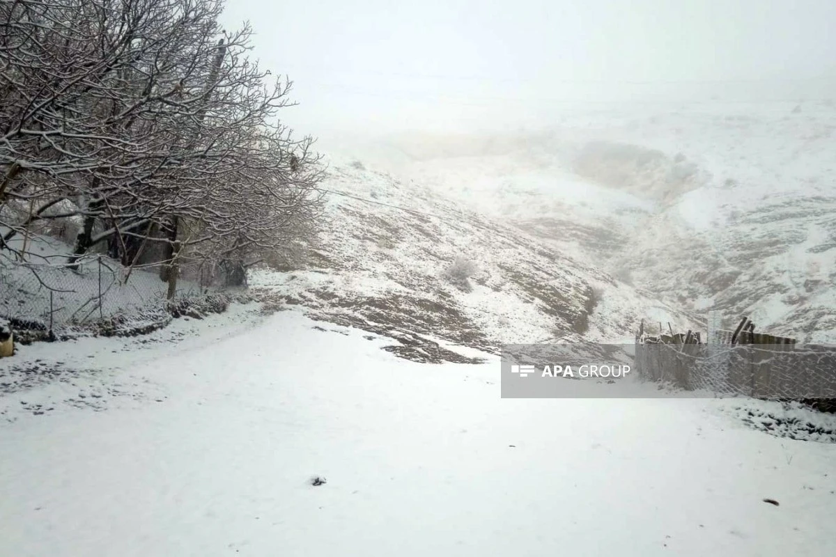 Naxçıvana qar yağıb - FOTO