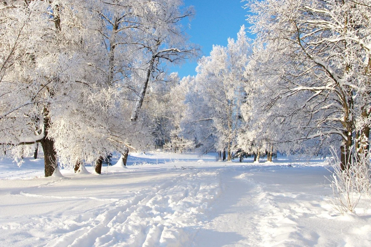 Sabah Azərbaycanın bu ərazilərinə qar yağacaq