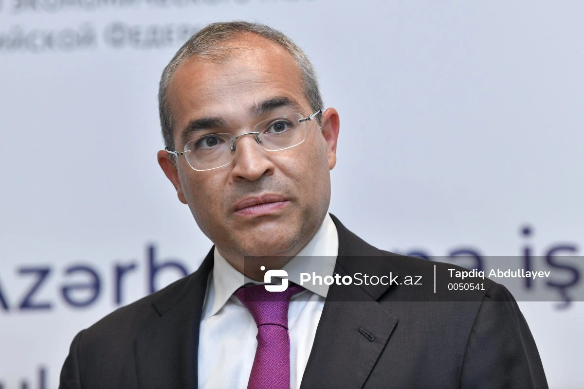 Микаил Джаббаров: Прямой внешний долг Азербайджана составляет около 10 процентов ВВП