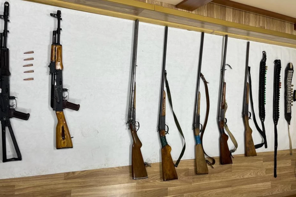 В Лерике обнаружены оружие и боеприпасы - ФОТО