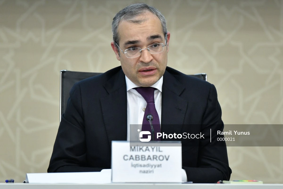 Министр: Микропредпринимателям Нахчывана предоставлены льготные кредиты на сумму более 1,4 млн манатов - ФОТО