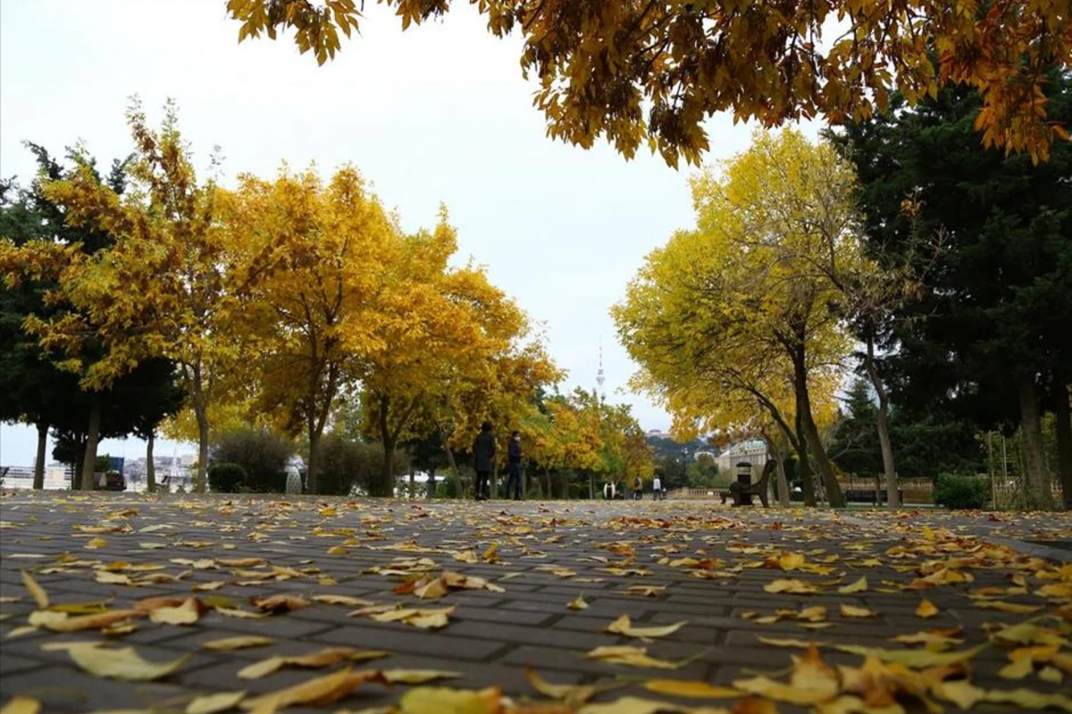 Sabah 21° isti olacaq - Hava proqnozu