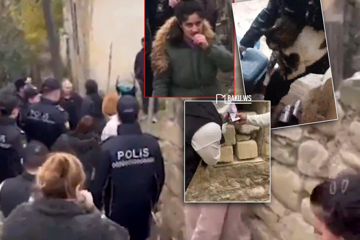 Azərbaycanda DƏHŞƏT: Qadın pul yığmaq üçün pişiklərə işgəncə verirmiş - İDDİA - FOTO/VİDEO