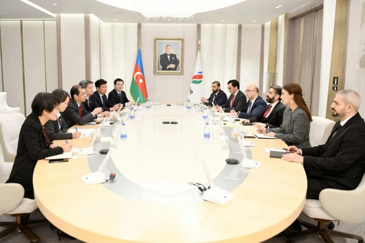 SOCAR и China Energy International Group обсудили развитие зеленой энергетики - ФОТО