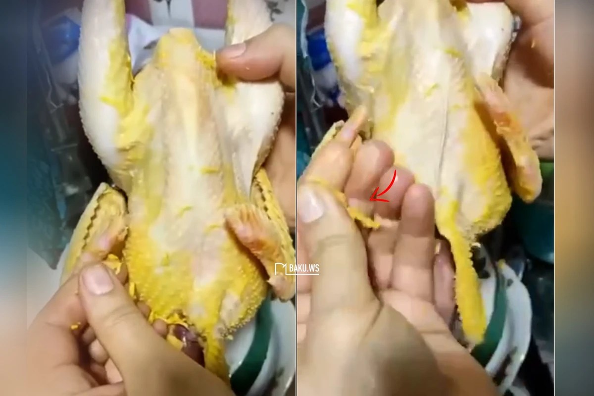 Çolpaya sarıkök vurub “Kənd çolpası” adı ilə satırlar - VİDEO