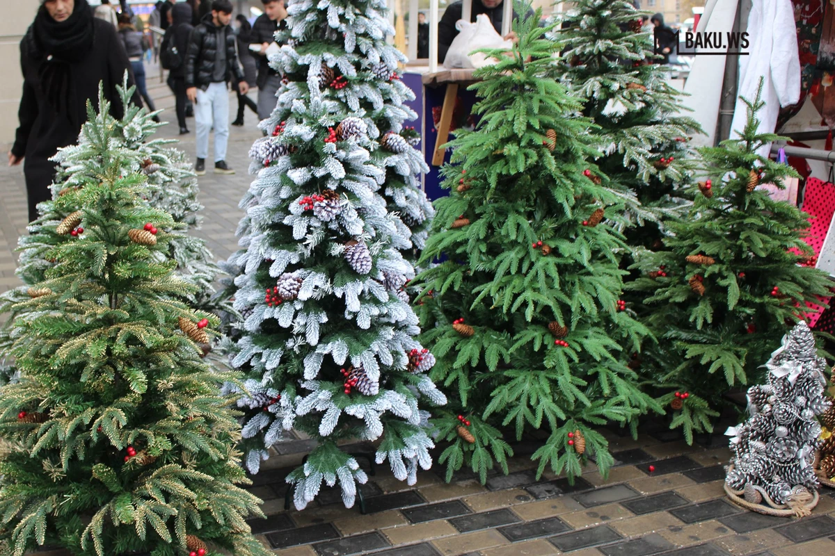 Bakıda yolkalar neçəyə satılır? - QİYMƏTLƏR - VİDEO