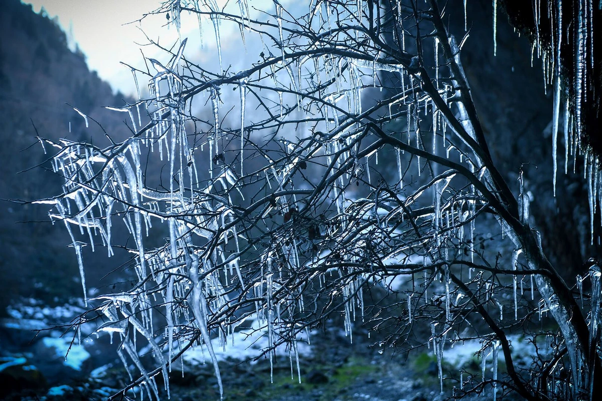 Sabah 2° şaxta olacaq - Hava proqnozu