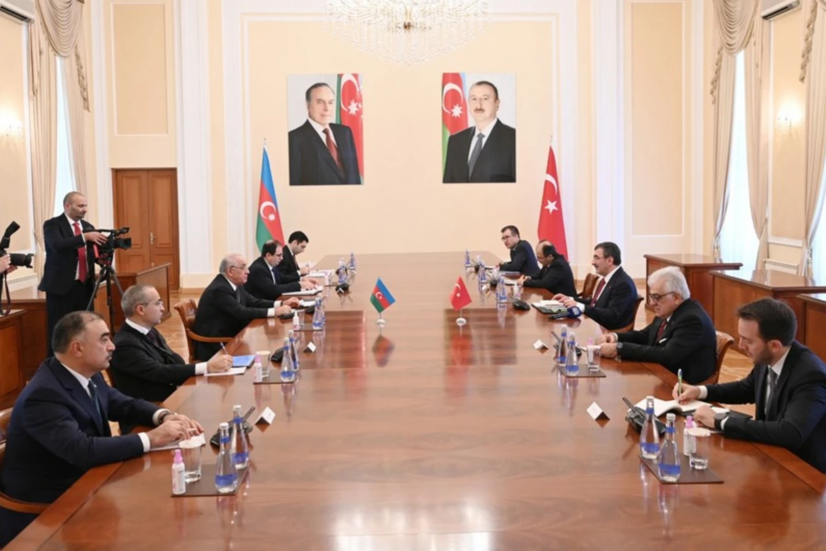 Əli Əsədov Türkiyənin vitse-prezidenti ilə görüşüb - FOTO