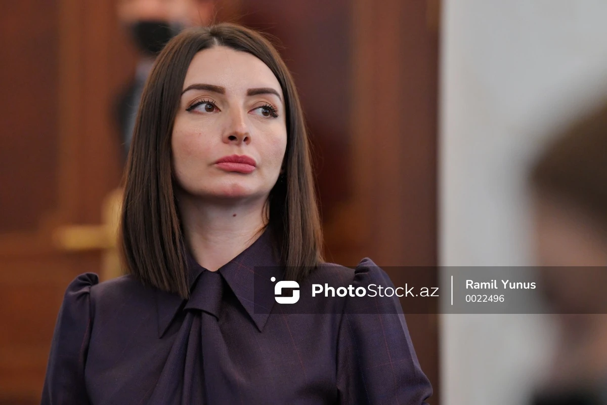 Посол Азербайджана ответила представителям избирательных органов Франции
