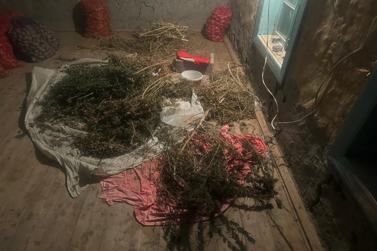 Sabirabad sakininin evində 4 kiloqram narkotik tapıldı - FOTO