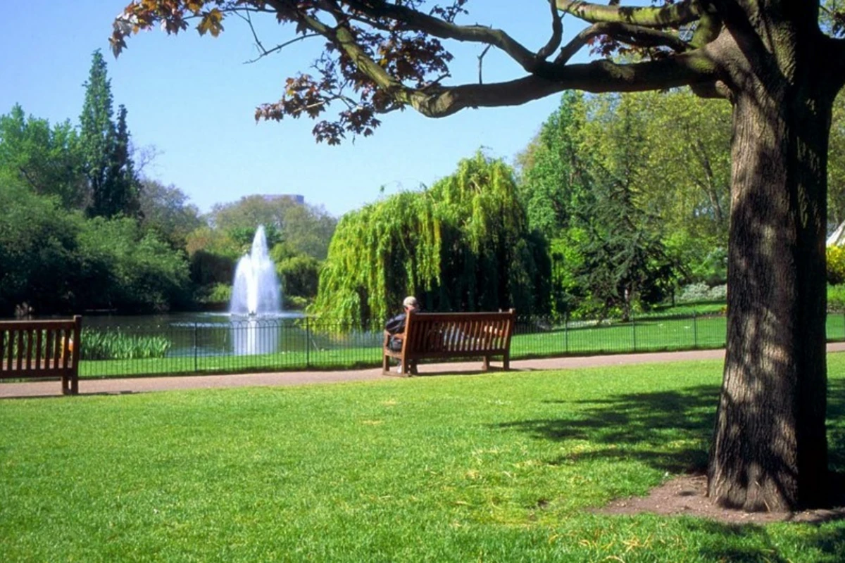 Bakıda yeni Yaşıl Park salınacaq
