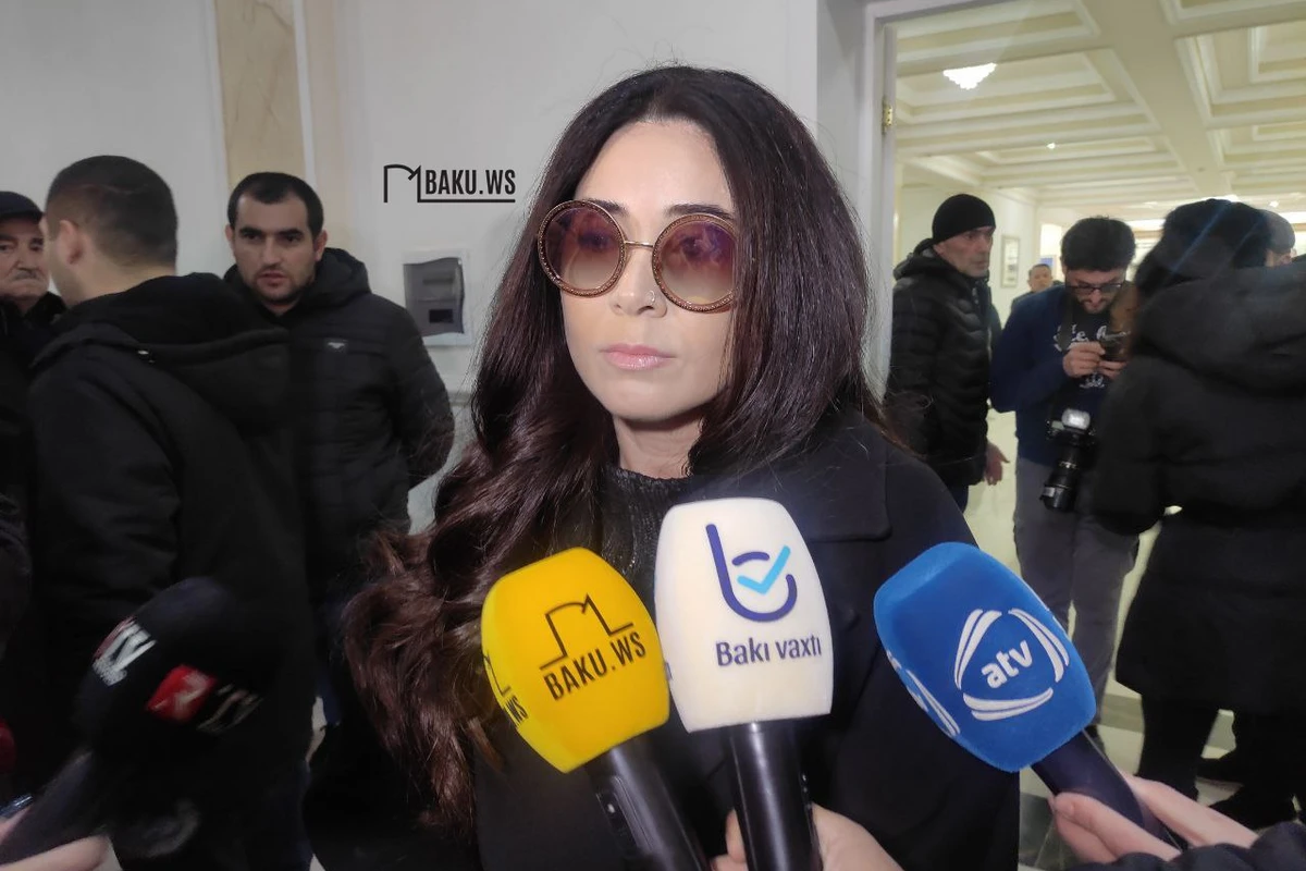 Elnarə Xəlilova: Aygünü o vəziyyətdə görmək çox çətin idi