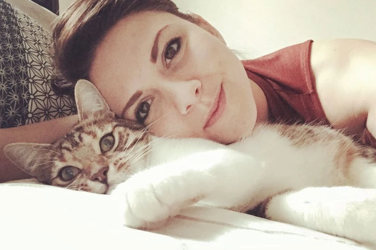 7 il əvvəl itkin düşən pişik evin 300 metrliyində tapıldı - FOTO 7 il əvvəl itkin düşən pişik evin 300 metrliyində tapıldı - FOTO