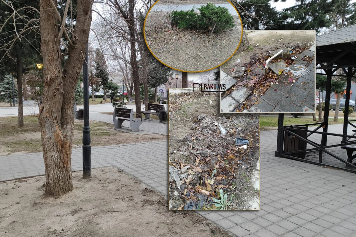 Bakıda daha bir park təmir ediləcək - FOTO Bakıda daha bir park təmir ediləcək - FOTO