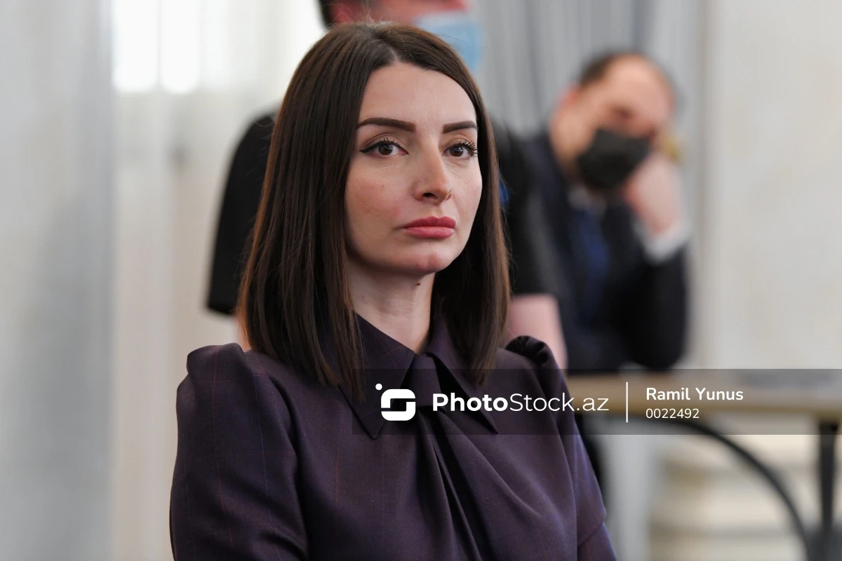 Azərbaycan səfirindən “Le Figaro”ya cavab: “Regionumuzda vəziyyəti pozmaq əvəzinə sülhə kömək edin” - FOTO