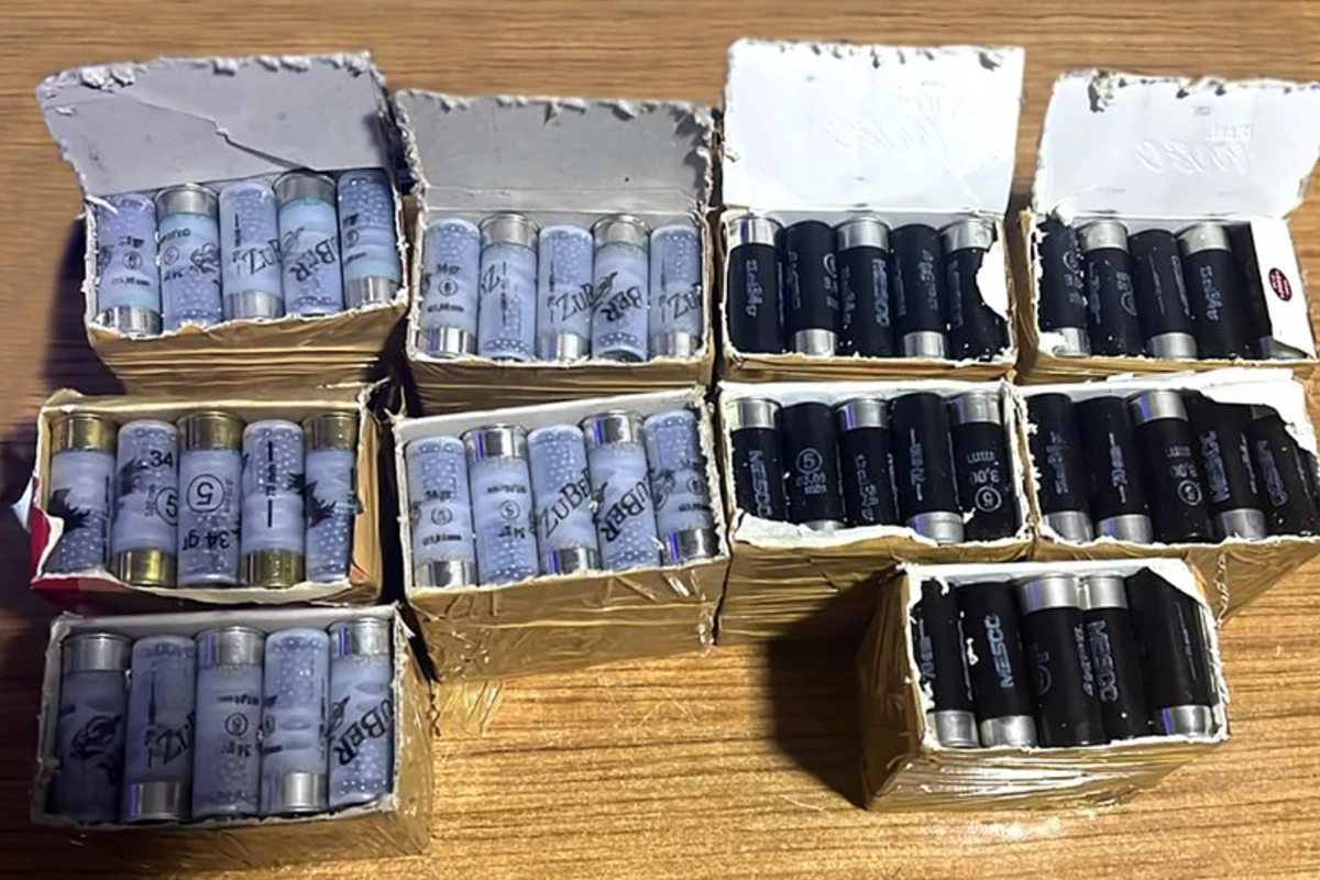 “Sədərək” gömrük postunda yük maşınında 250 ədəd patron aşkar edilib