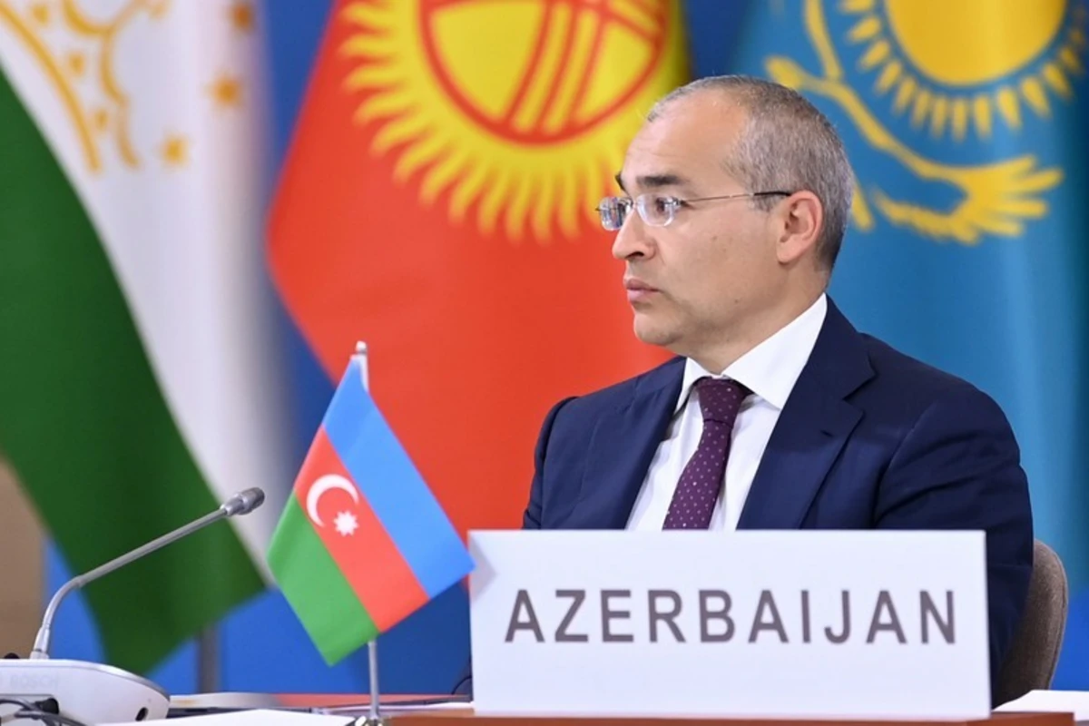 Mikayıl Cabbarov: Azərbaycan COP29-un ev sahibi kimi gözləntilərin olduğunu anlayır - FOTO