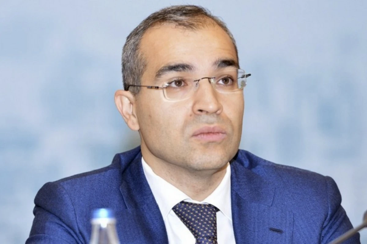 Nazir: “Azərbaycan 2028-ci ilədək enerji ehtiyaclarının 30 %-ini bərpaolunan mənbələrdən təmin edəcək”