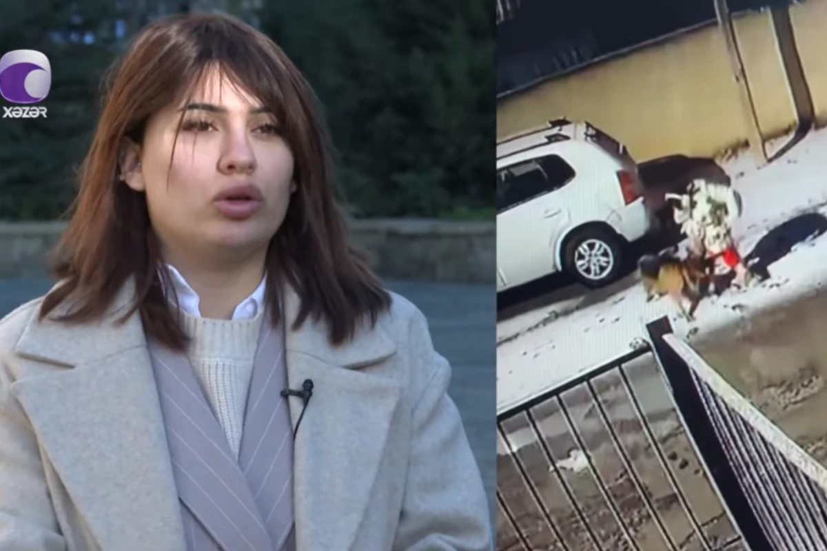 Bakıda ana uşağı ilə gəzərkən itin hücumuna məruz qalıb - VİDEO