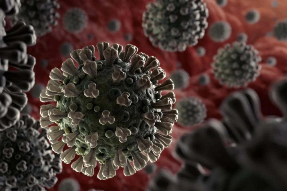 Dünya üçün yeni təhlükə: 100% öldürən virus
