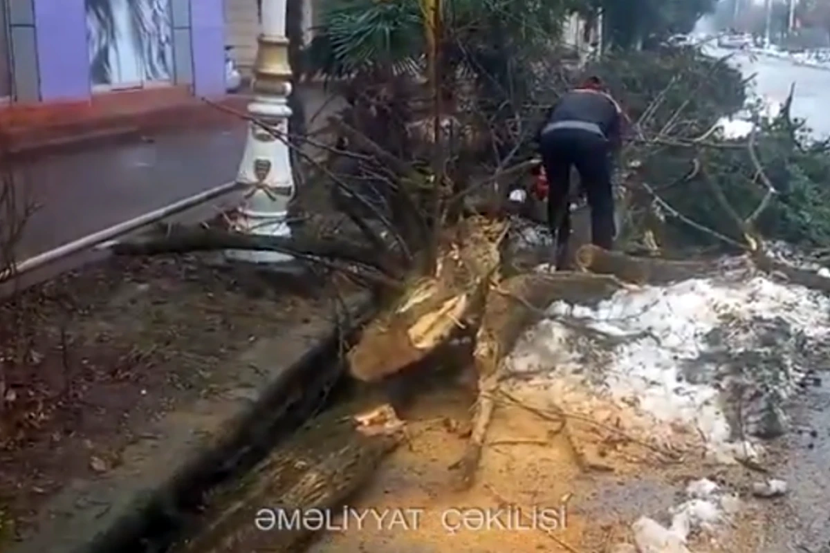 Güclü qar Lənkəranda fəsadlar törətdi - FOTO/VİDEO