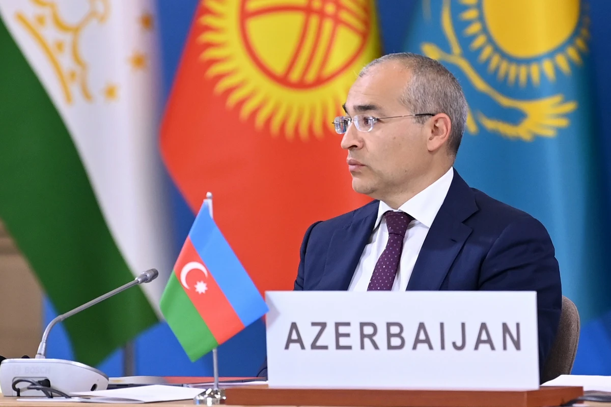 Микаил Джаббаров провел встречи в рамках Всемирного экономического форума в Давосе - ОБНОВЛЕНО + ФОТО
