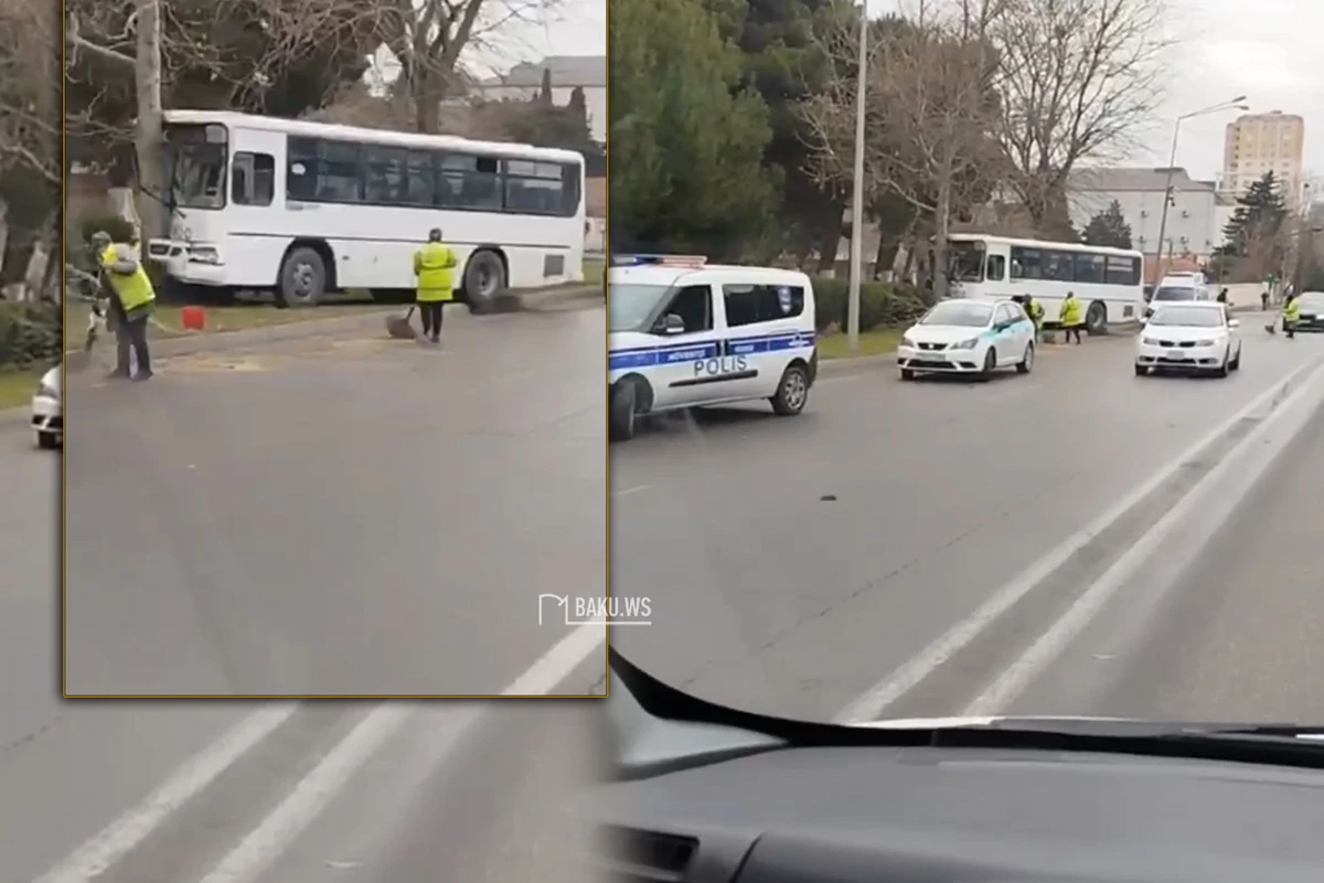 В Баку пассажирский автобус врезался в дерево - ВИДЕО