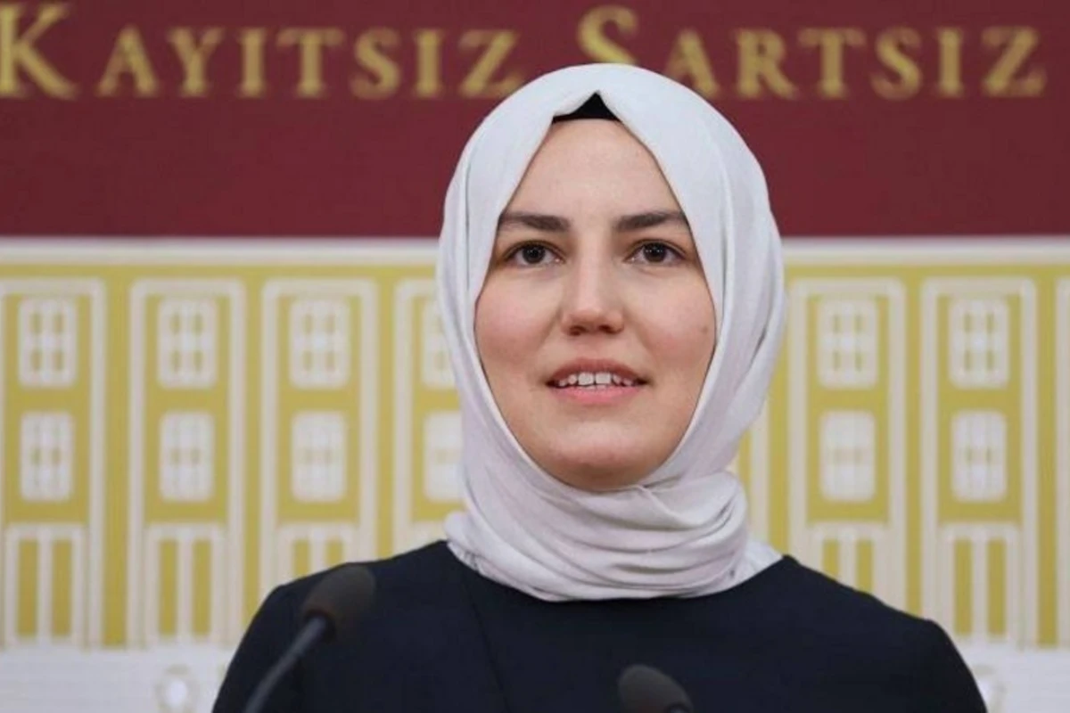 Türkiyə nümayəndə heyətinin üzvü: AŞPA Azərbaycansız natamam bir qurum olacaq