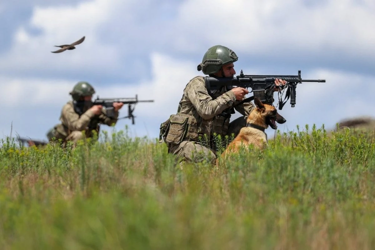 Türkiyə ordusu 1 həftəyə 82 terrorçu zərərsizləşdirib