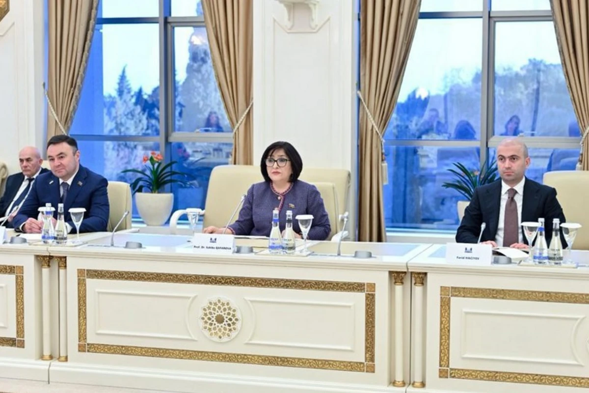Milli Məclisin sədri: Fransa Cənubi Qafqazda sülhün əldə olunmasını istəmir