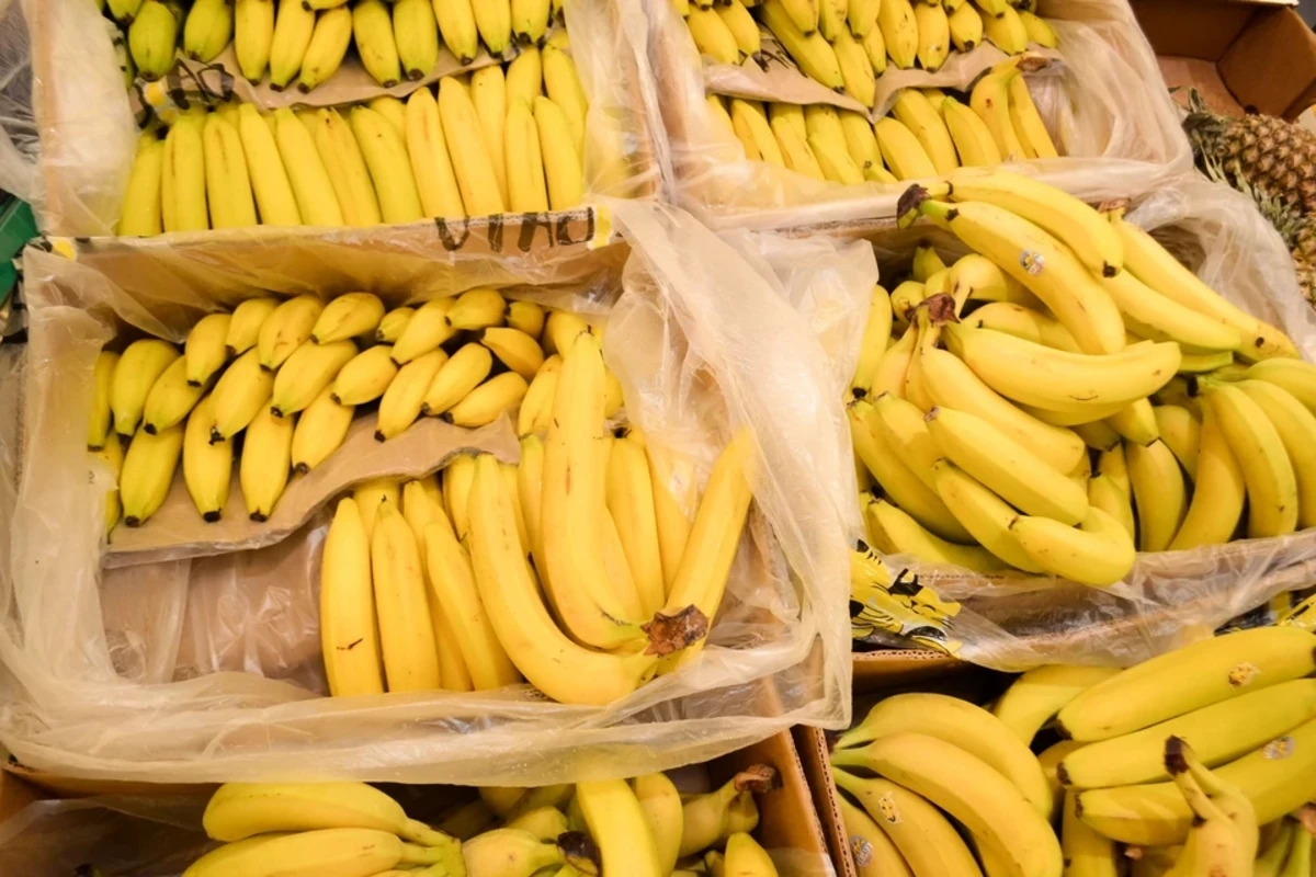 Hindistan Rusiyaya banan tədarükünə başlayıb